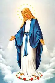 Día Inmaculada Concepción