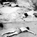 Masacre de El Amparo